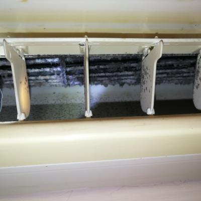 Unitate Interiara Plina Cu Mucegai