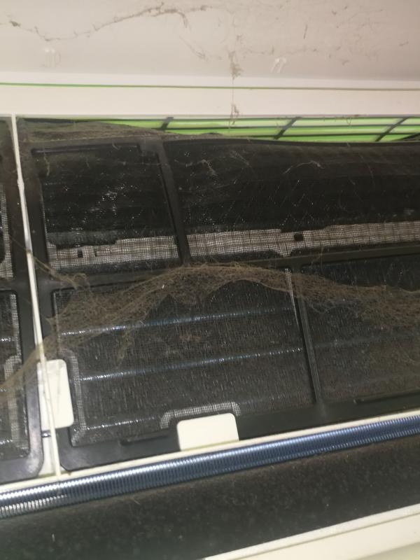 Igienizare Vortex - VIDEO